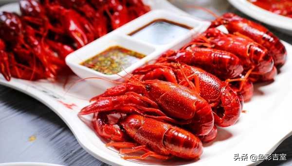 成都旅游良心攻略,成都四天三晚旅游攻略