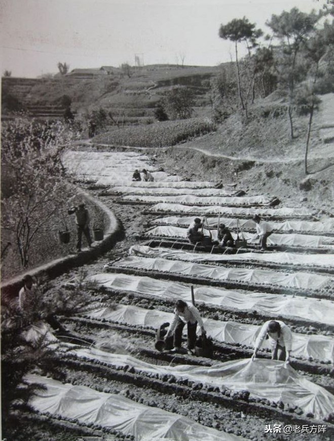 五十年代至七十年代人民公社,6070年代人民公社