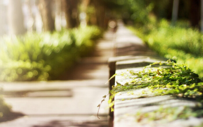 心理学被欺负了怎么反击,心理学为什么被怼反而很舒服