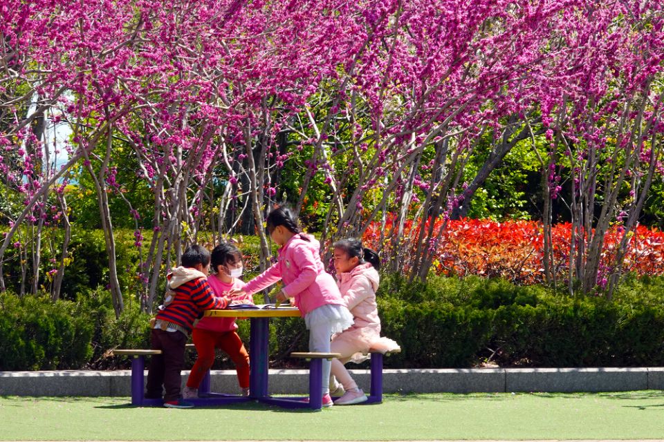 面朝大海春暖花开的背景音乐,面朝大海春暖花开歌曲