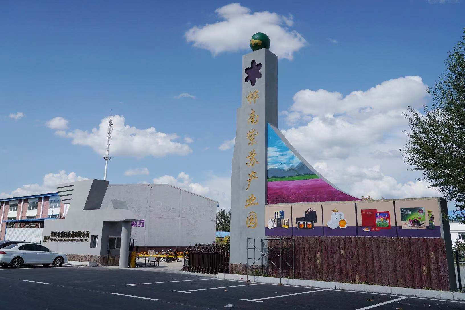 桦南紫苏种植基地在哪里,桦南紫苏简介