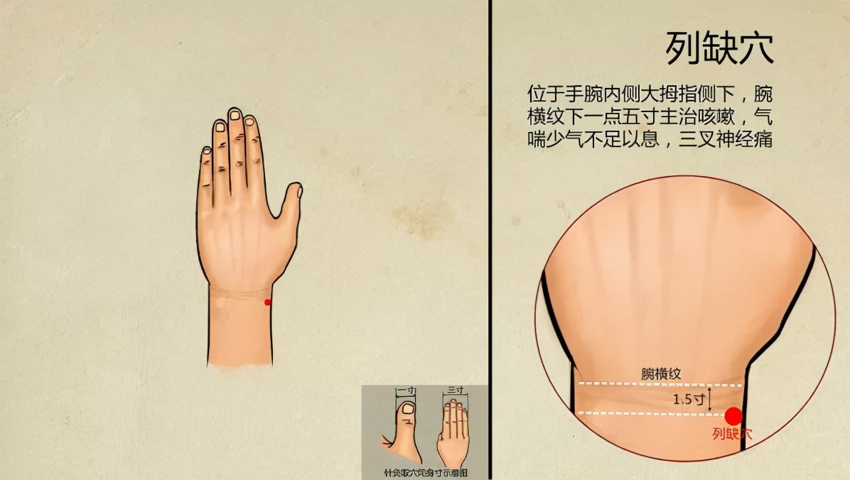 治疗支气管咳喘中草药,针灸治疗支气管炎处方