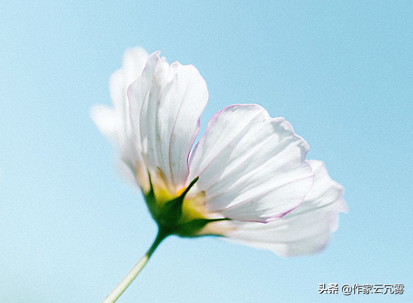 唐朝写新年的诗,新年感叹时光匆匆的诗词