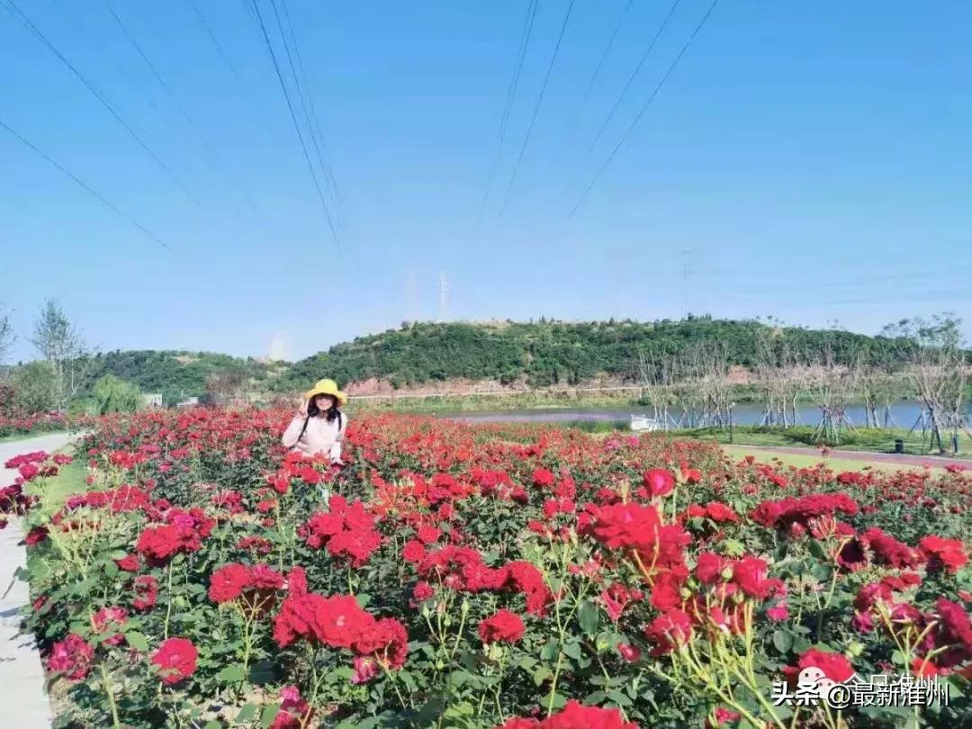 淮安人的骄傲更是中国人的骄傲,淮安人的骄傲