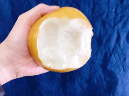 梨子界中的“扛把子”，越低调越红！咬一口就爆汁，一水的甜呀