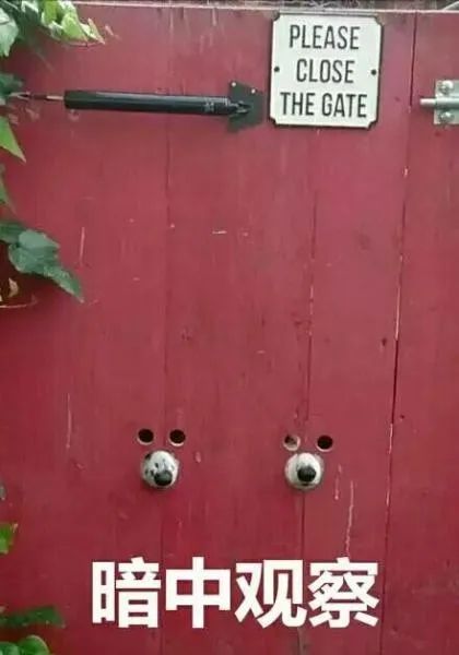 聚划算便宜会不会是假货,聚划算上买东西靠谱不