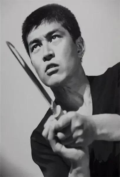 日本渡哲也,渡哲也秀吉