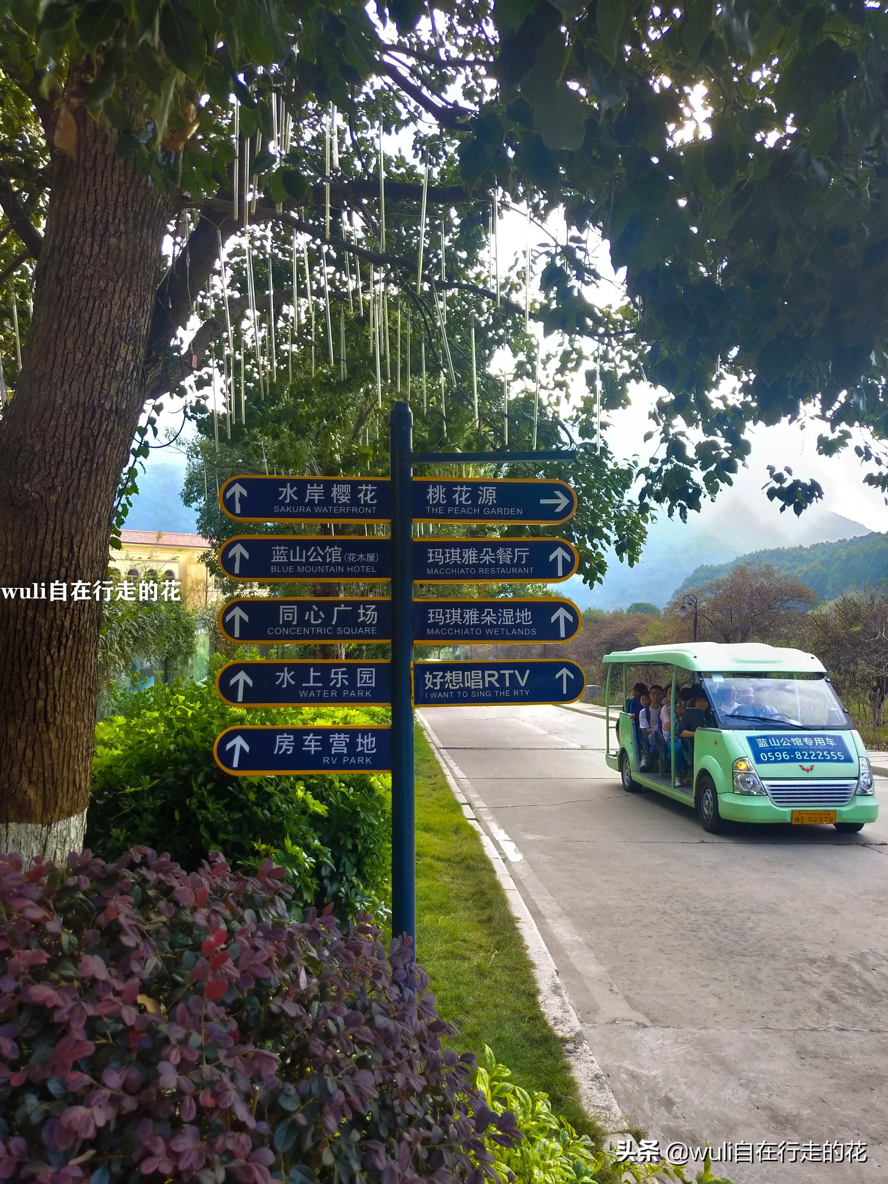 长泰县十里蓝山,漳州长泰十里蓝山攻略