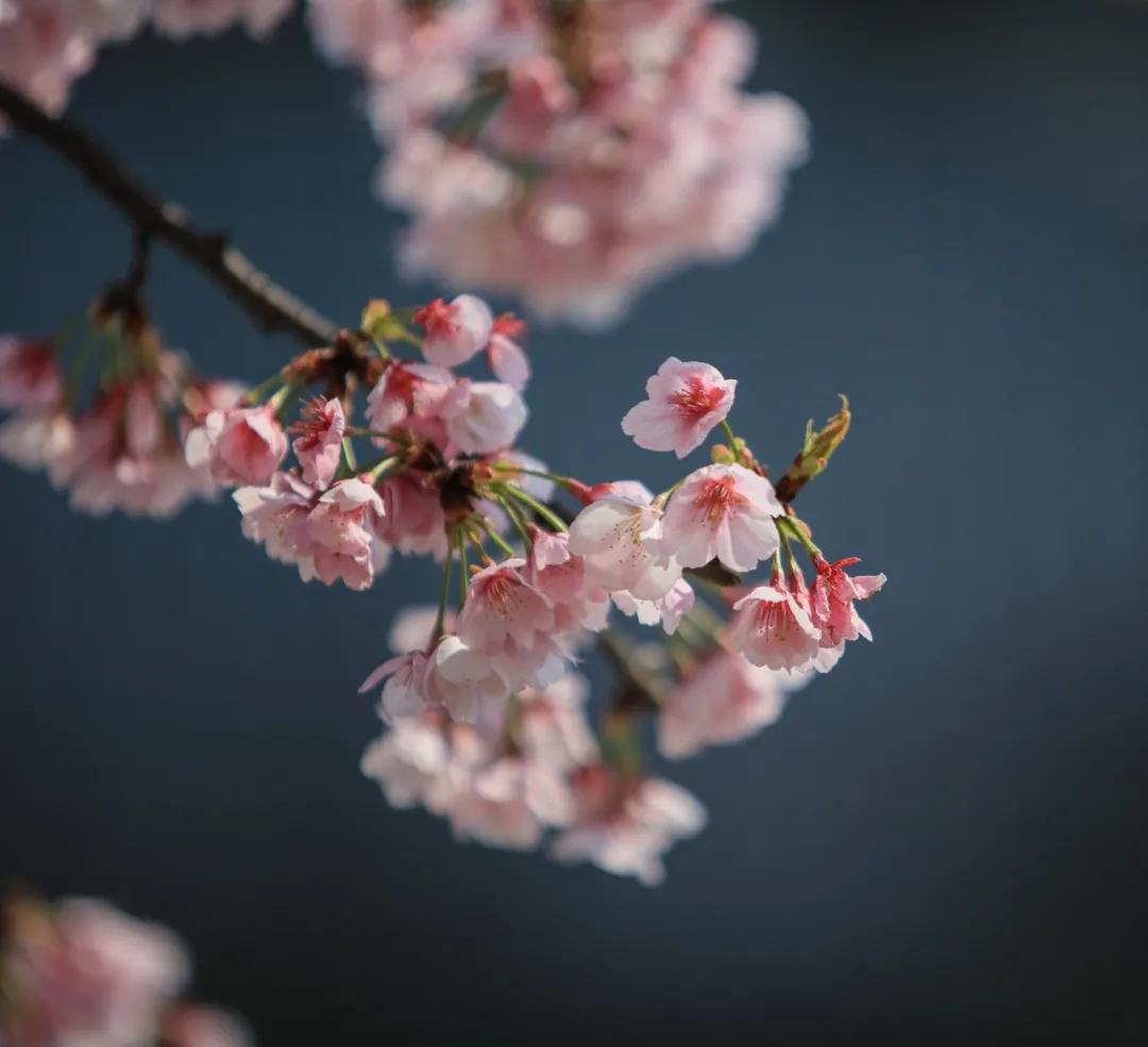 宁波周末走走,宁波旅游必去十大景点推荐自驾游
