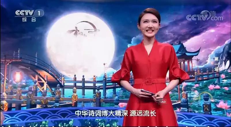 董卿诗词大会开场白第五季,中国诗词大会第五季第一场开场白