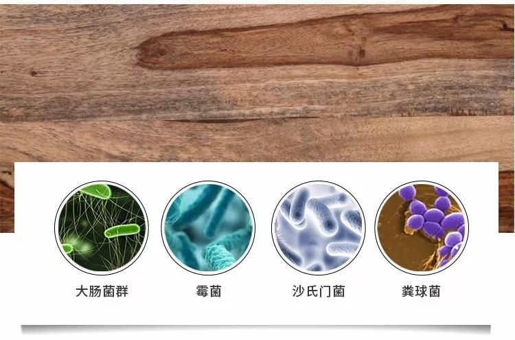 304不锈钢家用加厚防霉砧板,304不锈钢切菜板防霉砧板