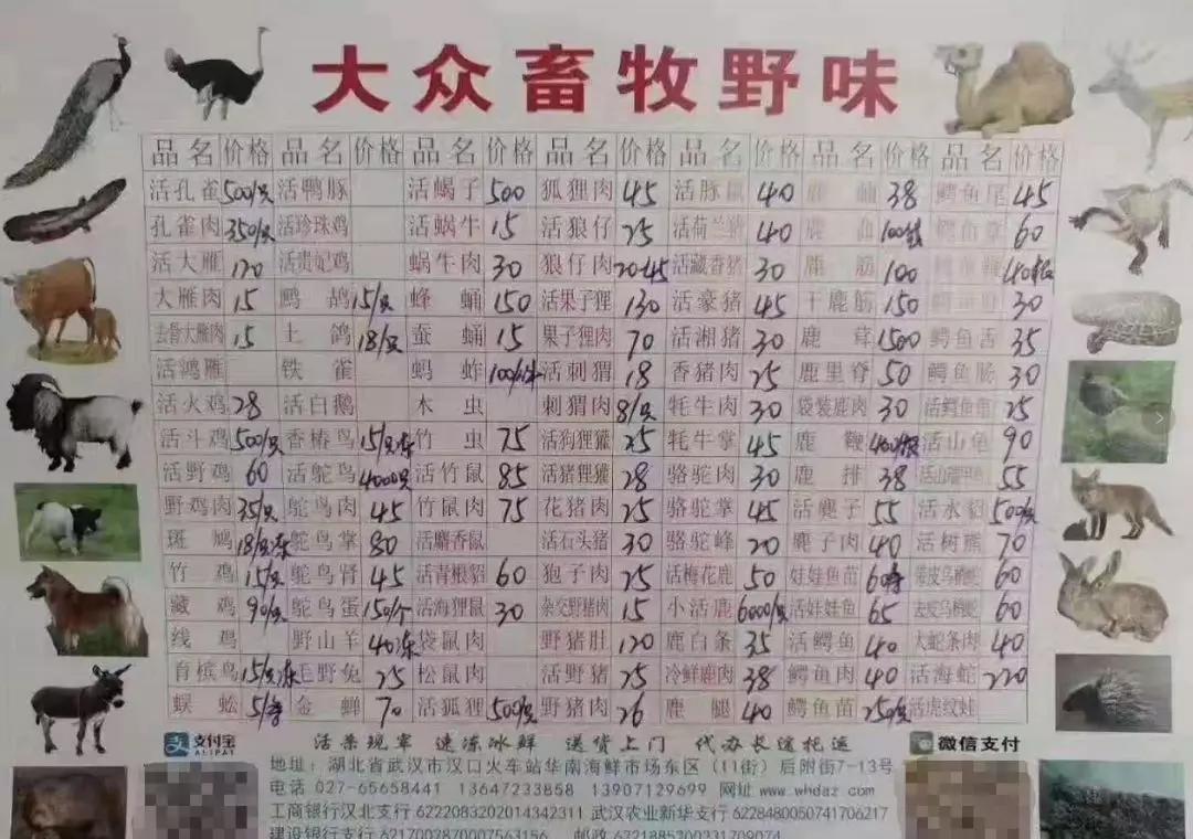 “野味”真的美味大补吗？多省份发文禁食