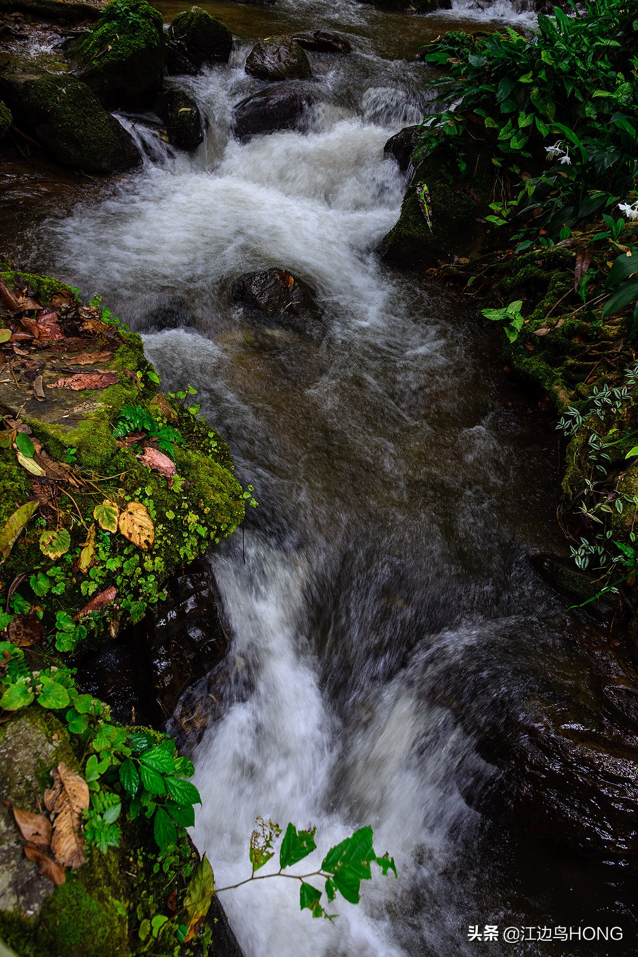 溪水潺潺心旷神怡,美景溪水潺潺
