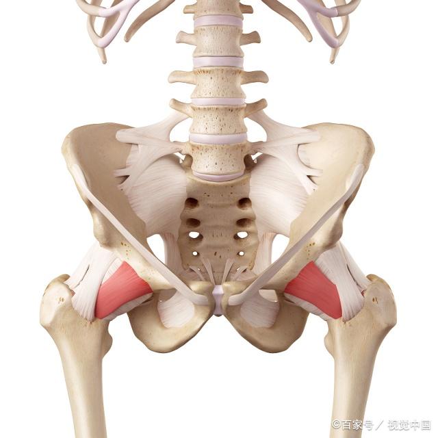 赶紧练这几个拉伸训练动作,掌握这些方法让你产后精神抖擞
