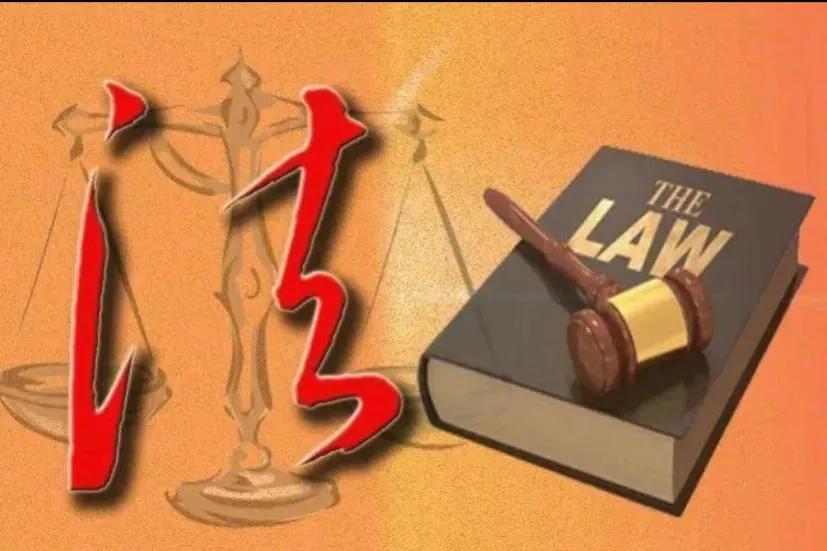 民法典养狗管理是哪条规定,民法典有关于养狗的条款吗