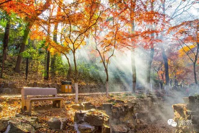 一入秋西安就美成长安,一入秋杭州就美成临安