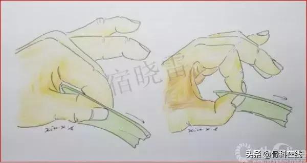 手绘科普类,手绘类科普