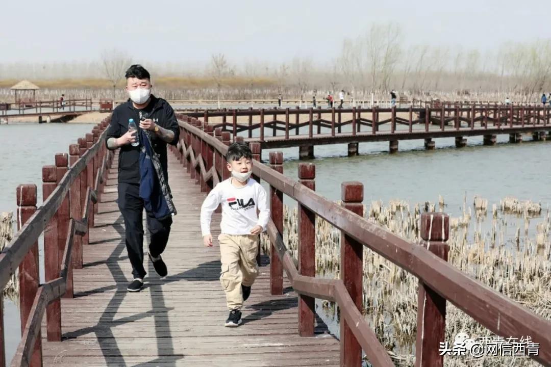 天津2022哪些公园恢复开放,天津临港亲海公园什么时候开放