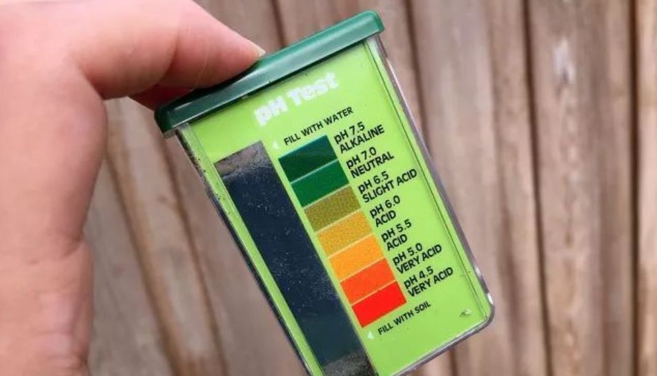 买测酸性碱性的试纸,ph试纸怎么测土壤酸碱度