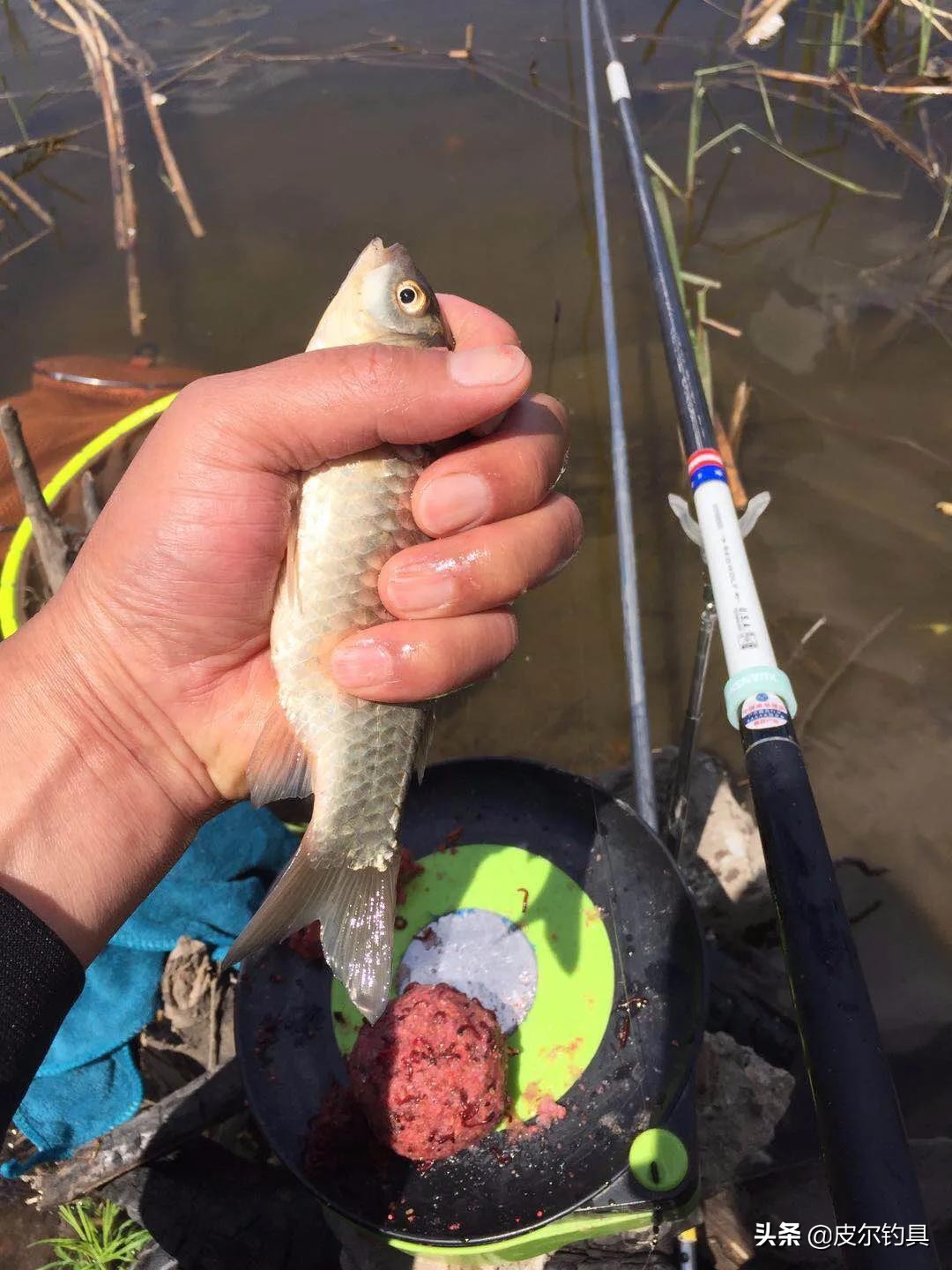 红狼鲢霸鱼竿,红狼湖库版鲢鳙竿