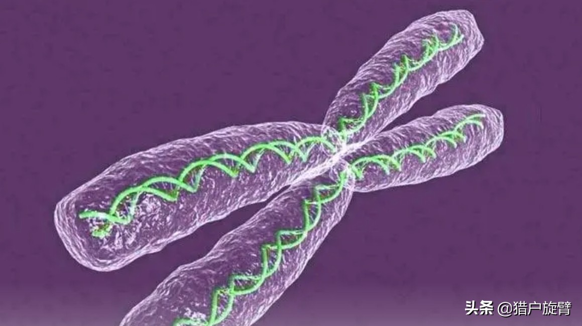 教育公平的关键是机会公平,教育机会均等与教育公平