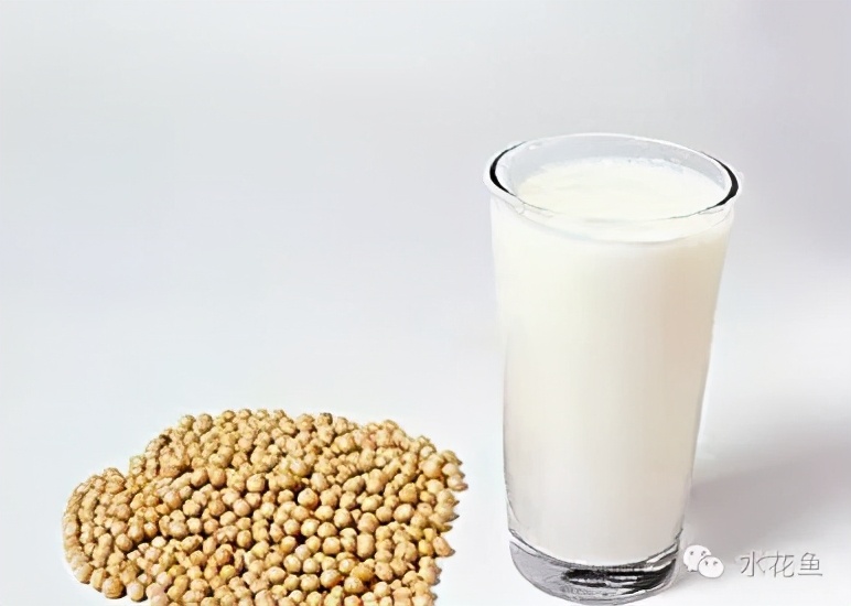 土塘水花鱼苗培育成活率,水花鱼苗养殖投喂什么饲料