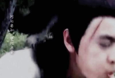 绝代双骄2020年电视剧点评,绝代双骄58影视