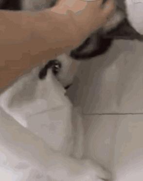 寒假作业丢了你一定很着急吧,开学了作业弄丢了怎么办