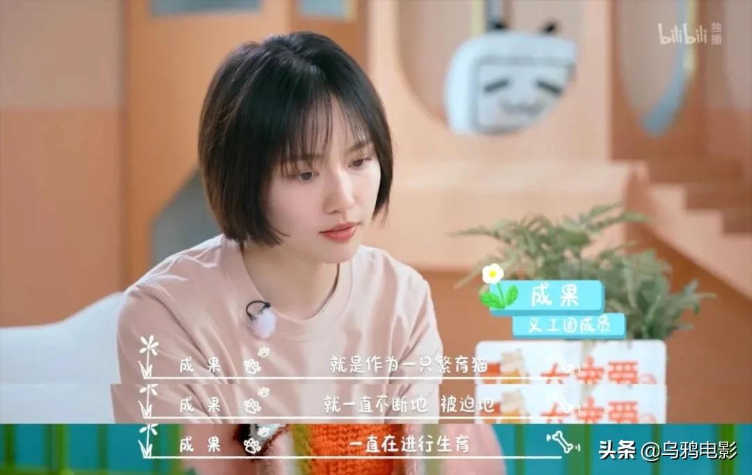 b站必看的综艺,b站能看的综艺推荐