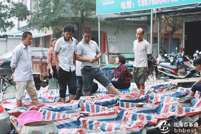 对不起,我要去石康了