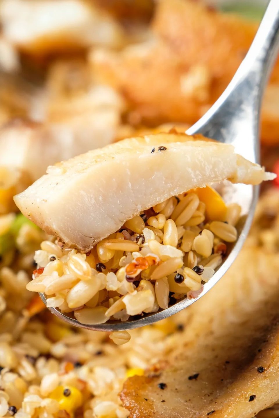 打卡魔都爱马仕级海鲜自助餐厅,打卡芝士蛋糕届的爱马仕