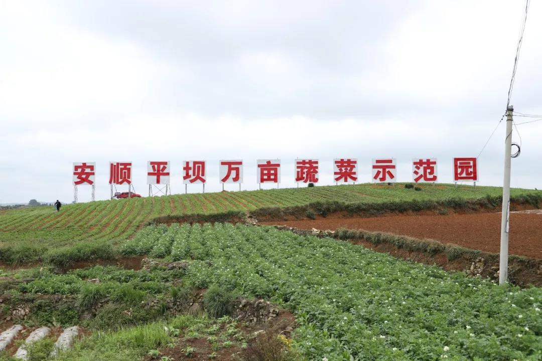 贵州经济跨越重塑全新形象内容,安顺经济近十年的发展变化