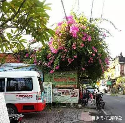看完这些你还觉得自己很惨吗,巴厘岛公交