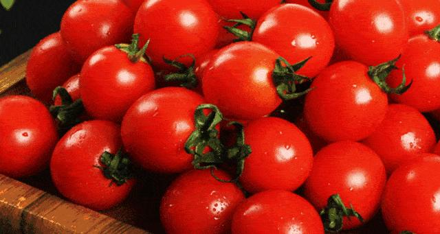 快收藏！海南水果图鉴～认准了，吃它