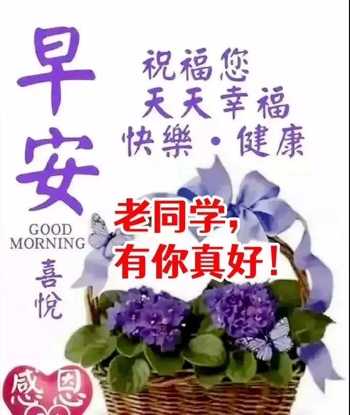 美女游戏里的表情包,美女游戏表情包