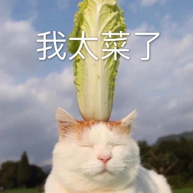 无效遮瑕测评,无效遮脸