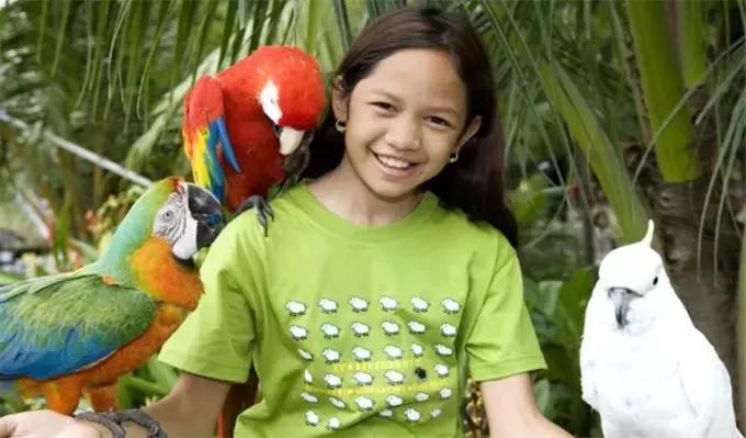 亲，你知道富国岛吗？亲子海岛好去处，不少家长已经带娃去了！