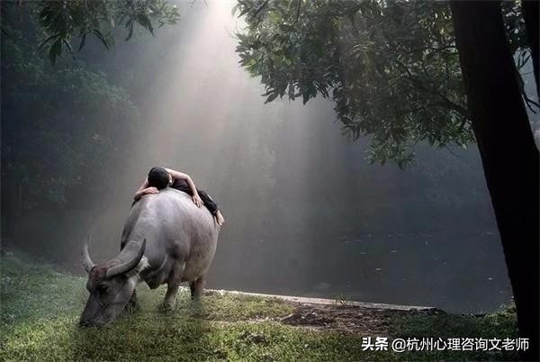 说多了别人说你矫情,说你矫情怎么怼回去