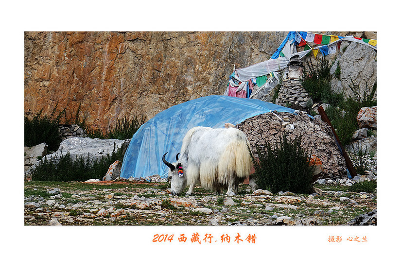 绾虫湪閿欏績涓殑鍦ｅ湴,蹇冮噷鐨勫湥鍦扮撼鏈ㄩ敊