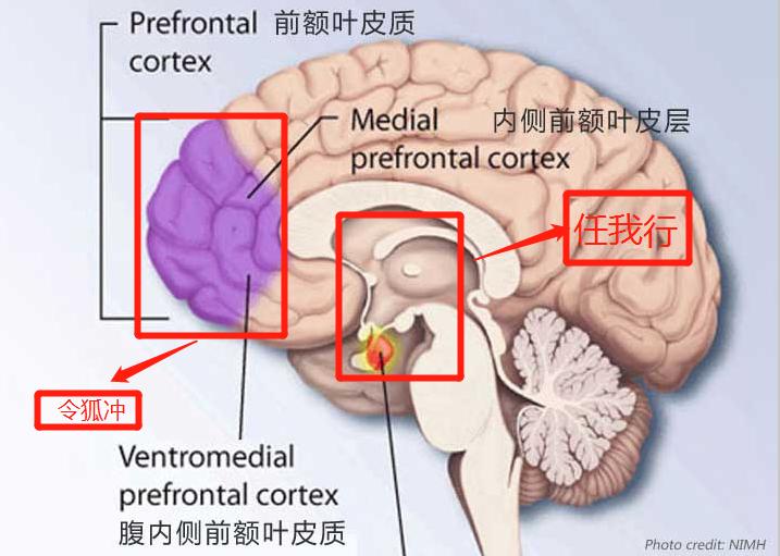 我要，我不要，我想要：你知道这3种状态代表着什么吗？