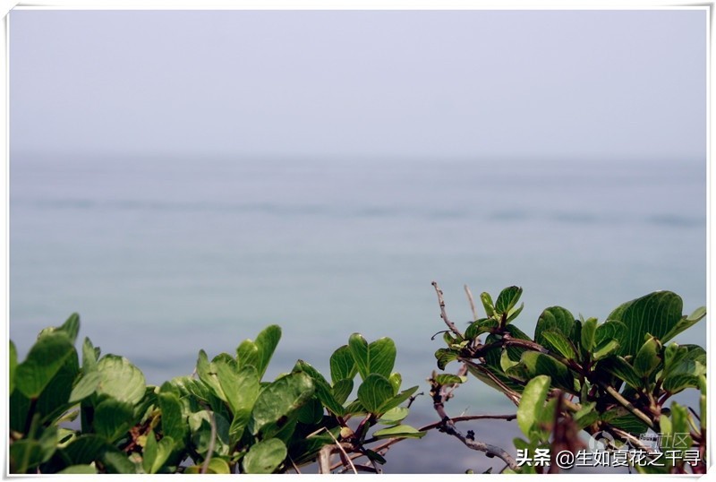 深圳市杨梅坑美人鱼拍摄基地,深圳大鹏杨梅坑美人鱼拍摄地点