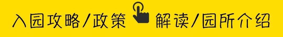 24年深圳秋季幼儿园招生时间,深圳幼儿园新招生