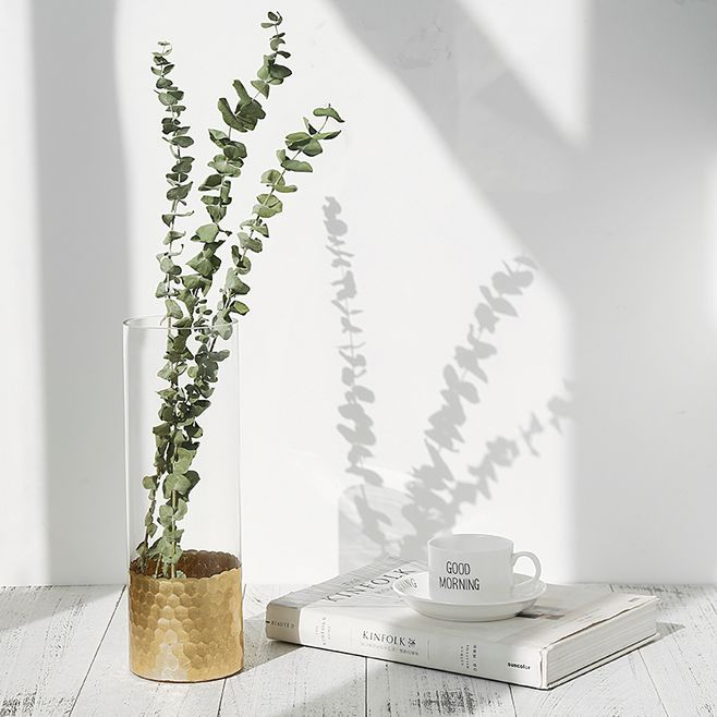 杀菌最好的精油尤加利,尤加利精油搭配