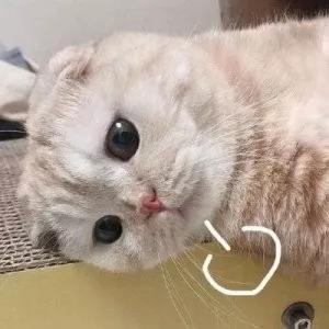 黄皮彩妆推荐一套还是二套,适合黄皮的大牌彩妆推荐眼影