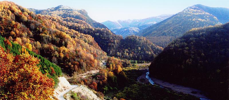 宁夏回族自治区政府,宁夏回族自治区区号