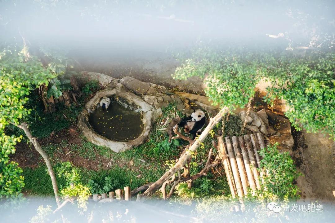 长隆飞鸟乐园怎么去长隆欢乐世界,汉溪长隆地铁站去长隆飞鸟乐园