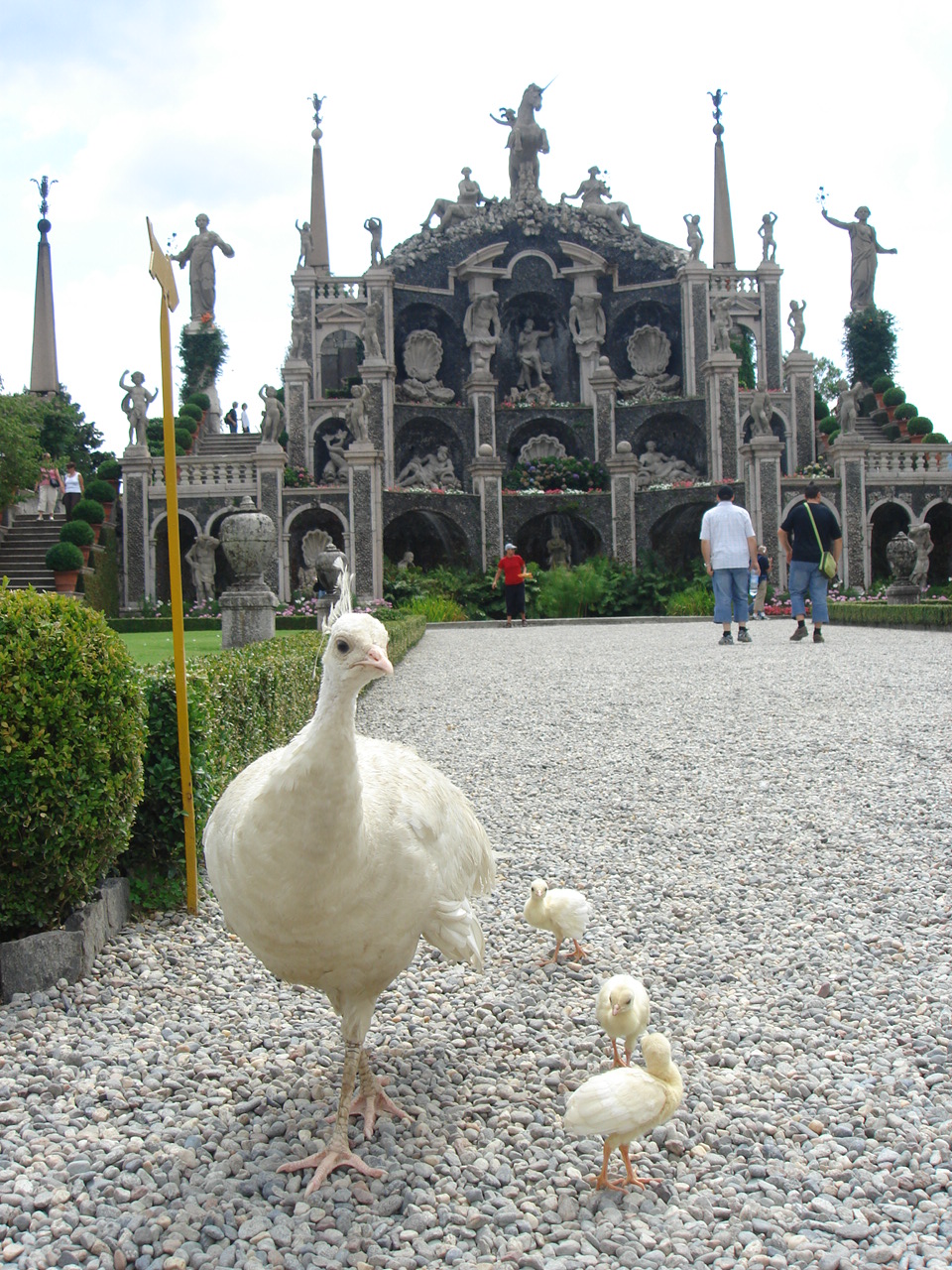 意大利旅行自由行攻略,我的欧洲自由行系列