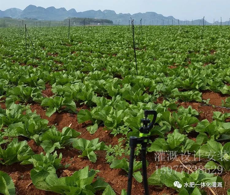 地插微喷头的优缺点,地插式微喷安装