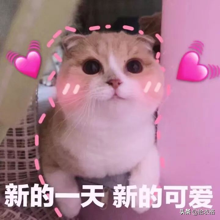 同样的体重为什么看着比以前瘦,同样的体重为什么你看着比别人胖