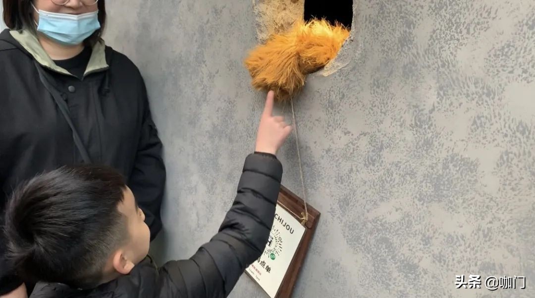 熊掌咖啡爆红,熊掌咖啡怎么样了